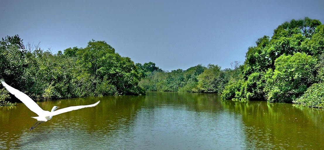 Bhitarkanika National Park